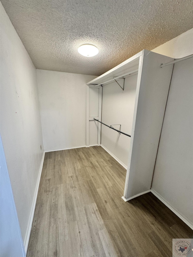 spacious closet with hardwood / wood-style floors