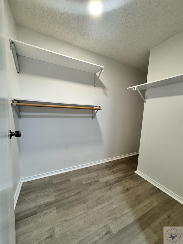 walk in closet featuring dark hardwood / wood-style floors