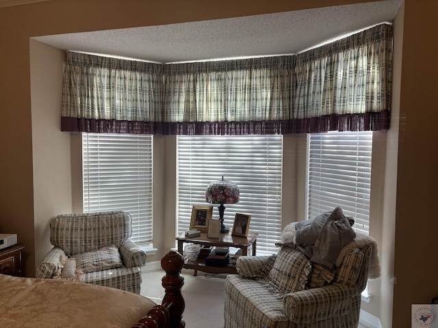 sitting room with carpet floors and a textured ceiling