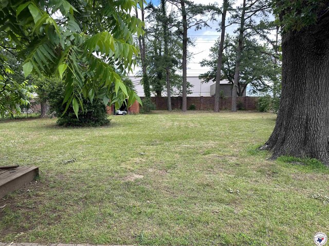 1002 Champion St, Texarkana, TX 75503 - view of yard