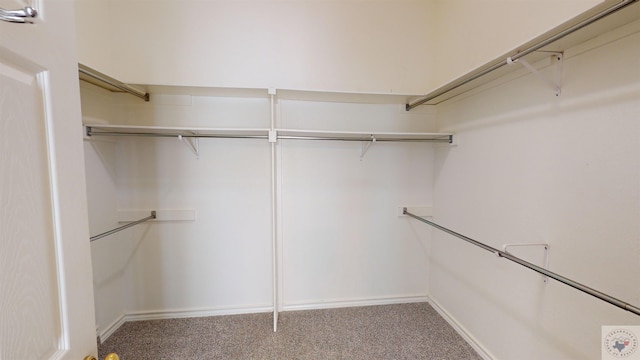 spacious closet with carpet