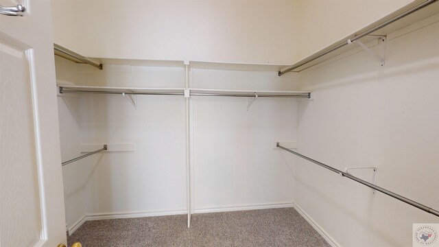 spacious closet with carpet