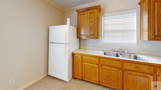 kitchen featuring sink, white refrigerator, and crown molding