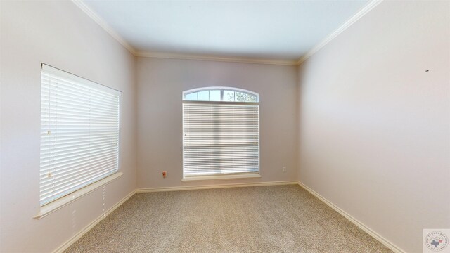 carpeted empty room with crown molding