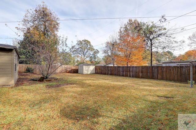 view of yard featuring a shed