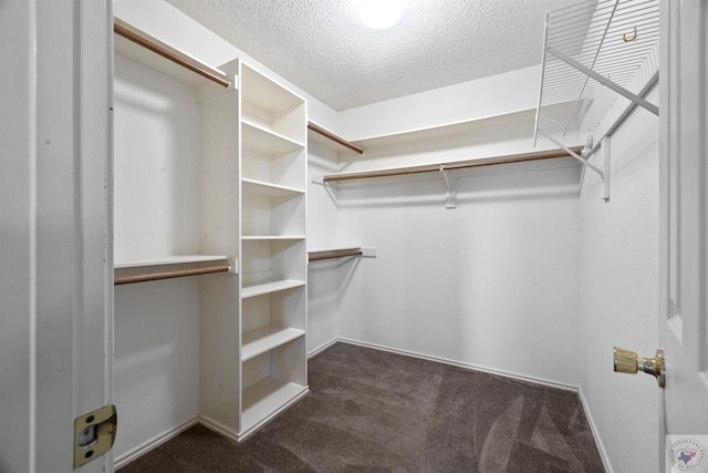 walk in closet with dark carpet