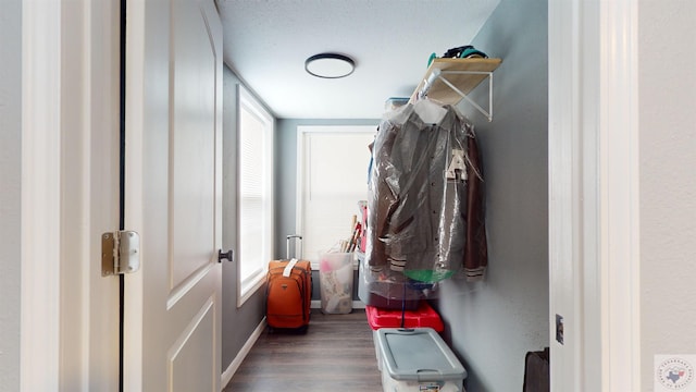 mudroom featuring dark wood-type flooring, a textured ceiling, and a wealth of natural light