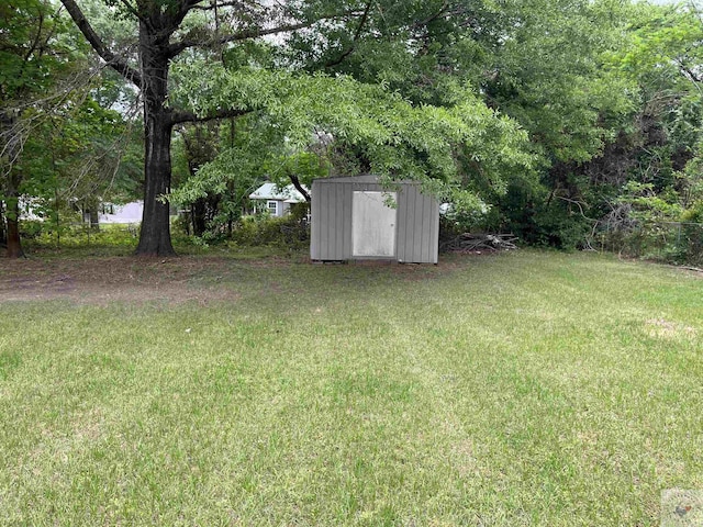 view of yard with a storage unit