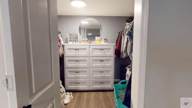 spacious closet featuring dark hardwood / wood-style floors