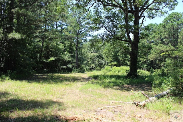 Listing photo 2 for 0 County Road 4152, Simms TX 75574