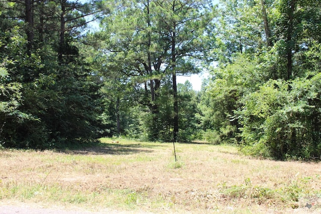 0 County Road 4152, Simms TX, 75574 land for sale