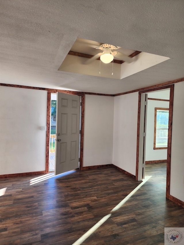 foyer entrance featuring a healthy amount of sunlight, dark hardwood / wood-style floors, and a raised ceiling