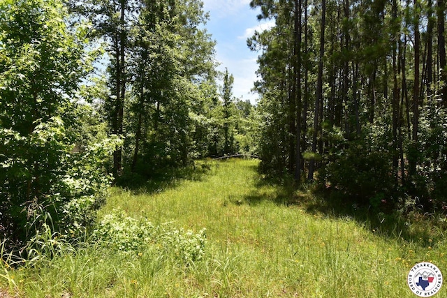 Columbia Road 215, Magnolia, AR 71753 - photo 6
