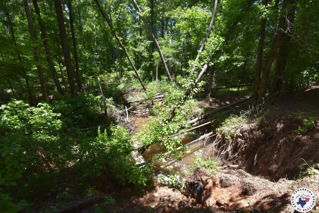 Columbia Road 215, Magnolia, AR 71753 - photo 3
