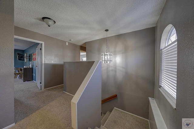 stairway featuring carpet and a textured ceiling