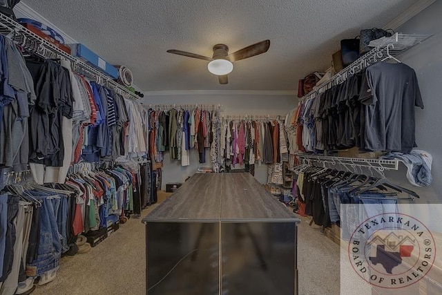 spacious closet featuring ceiling fan and carpet