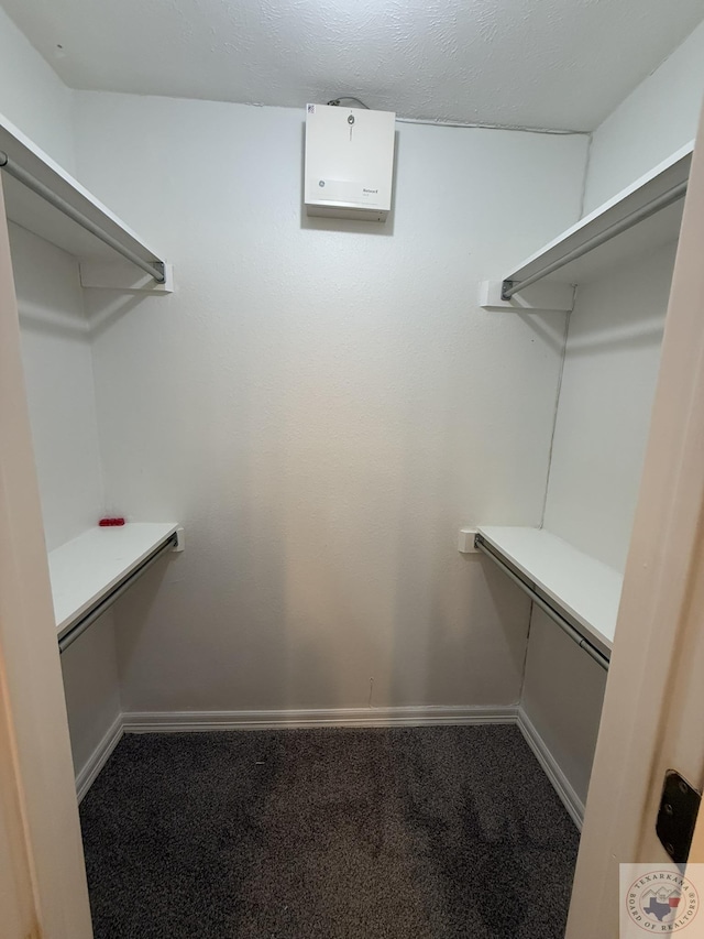 spacious closet featuring carpet