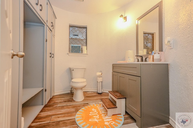 bathroom with hardwood / wood-style flooring, toilet, and vanity