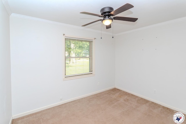 301 Hall St, New Boston, TX 75570 - photo 22