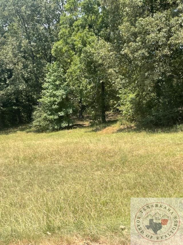 6506 Lakeview Dr, Texarkana TX, 75503 land for sale