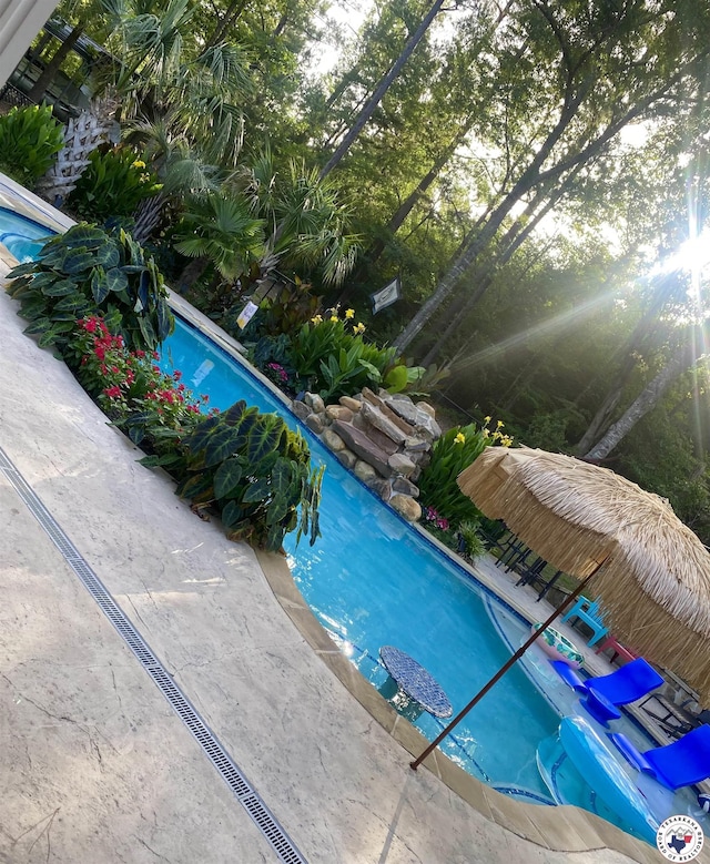 19 Hidden Valley Rd, Texarkana, TX 75501 - view of swimming pool