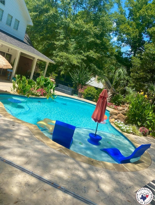19 Hidden Valley Rd, Texarkana, TX 75501 - view of swimming pool