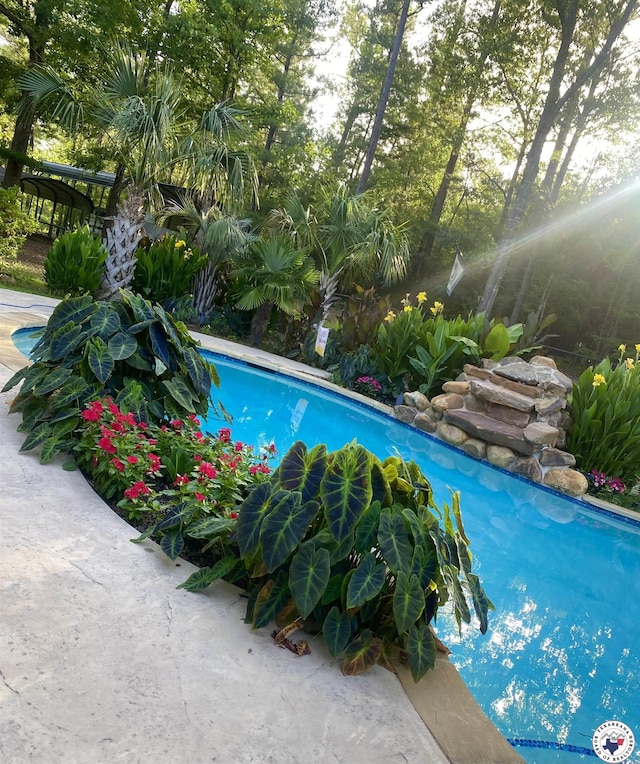 19 Hidden Valley Rd, Texarkana, TX 75501 - view of swimming pool