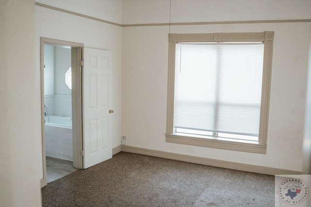 carpeted spare room with a wealth of natural light