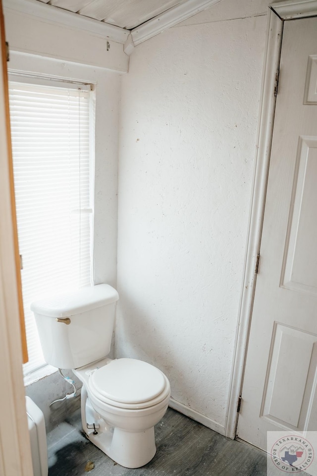 bathroom with wood-type flooring and toilet