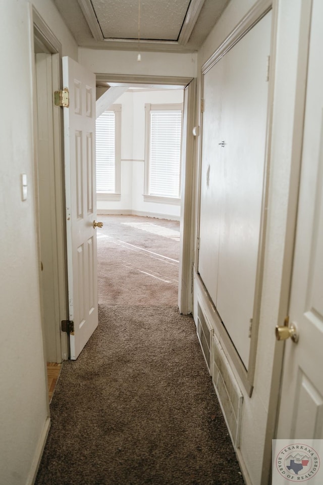 hallway with carpet flooring