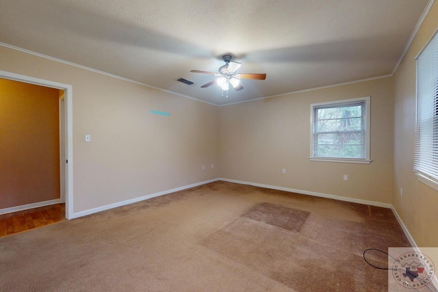 empty room featuring ceiling fan, carpet, and ornamental molding