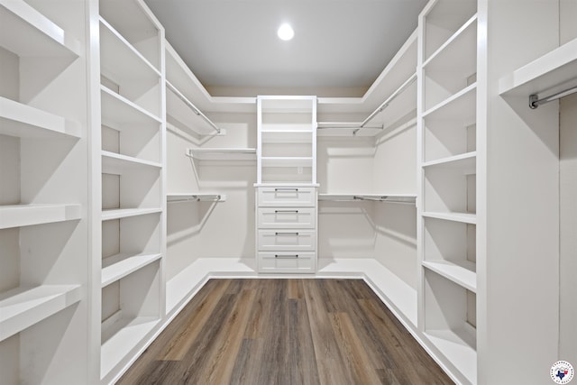 8405 Mandarin Cv, Texarkana, TX 75503 - spacious closet featuring dark wood finished floors