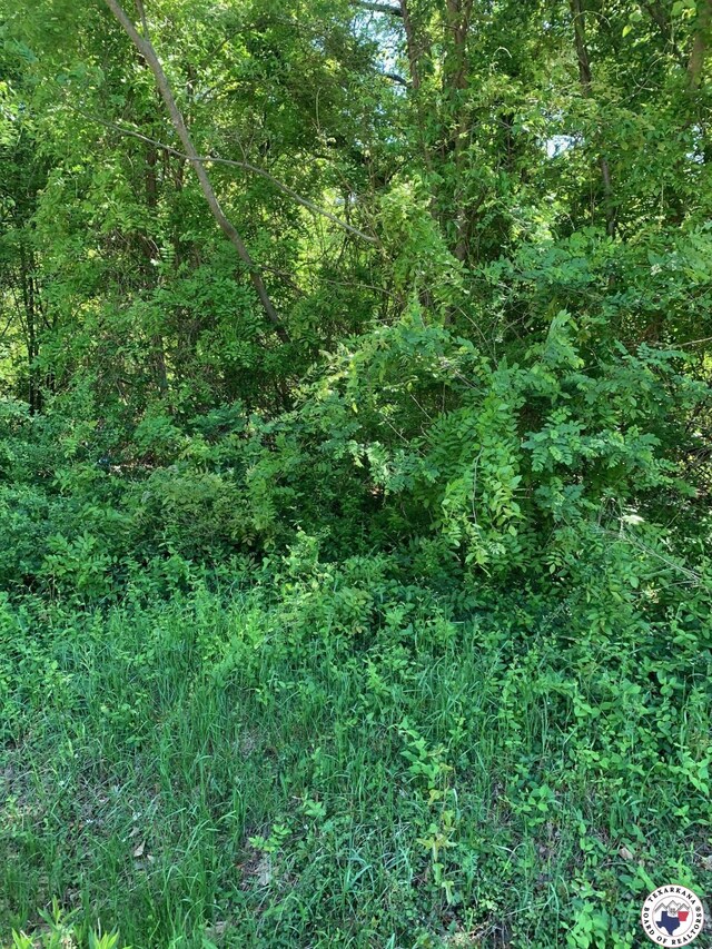 5102 Sanderson Ln, Texarkana, AR 71854 - photo 2