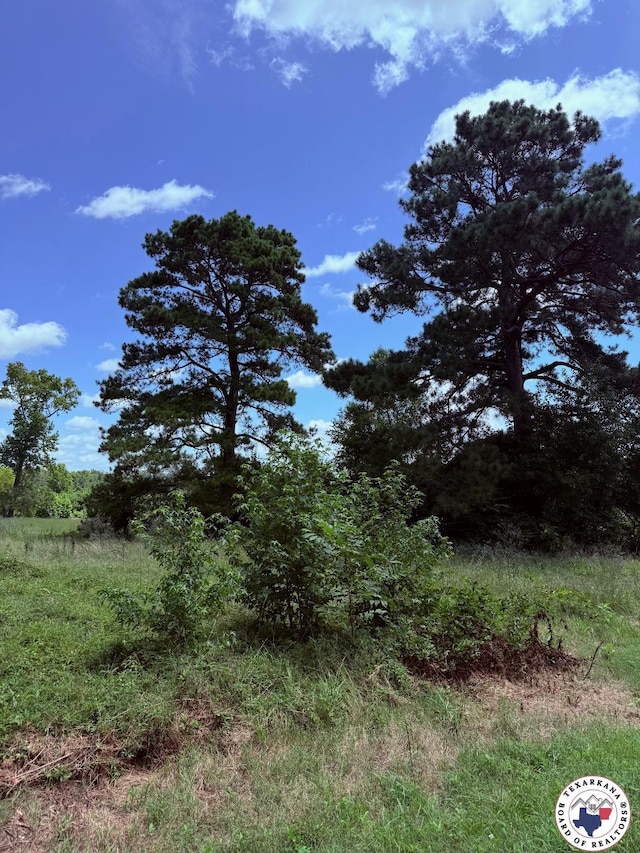TBD Tri State Rd, Texarkana, TX 75501 - photo 7