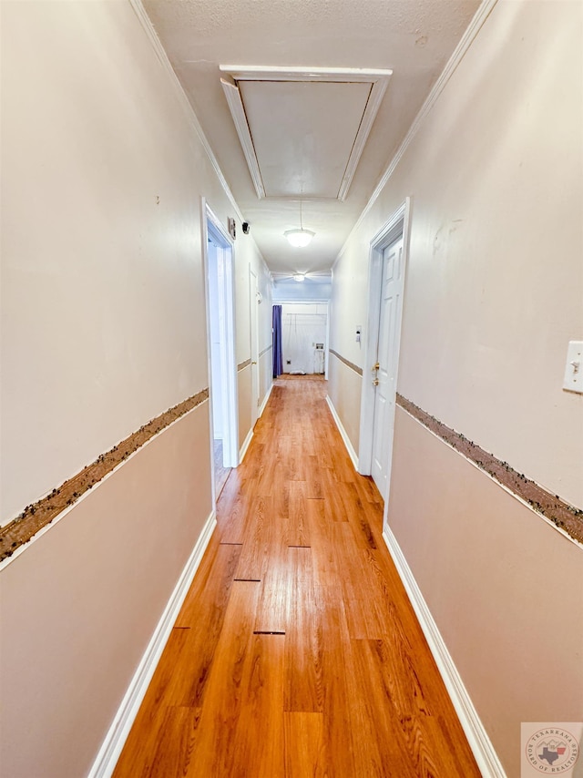 hallway with ornamental molding and light hardwood / wood-style floors