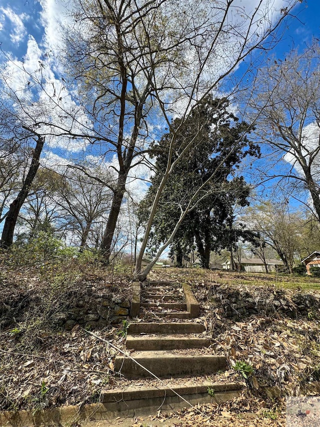 view of local wilderness