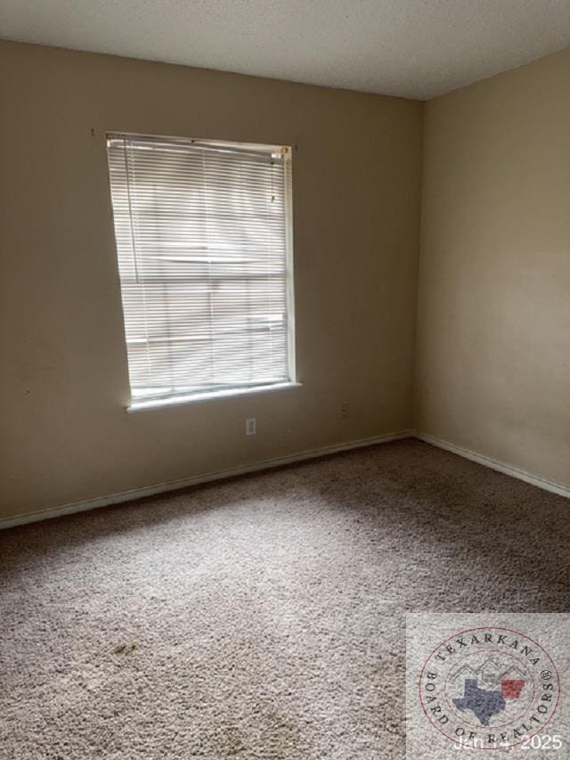 empty room featuring a textured ceiling and carpet floors