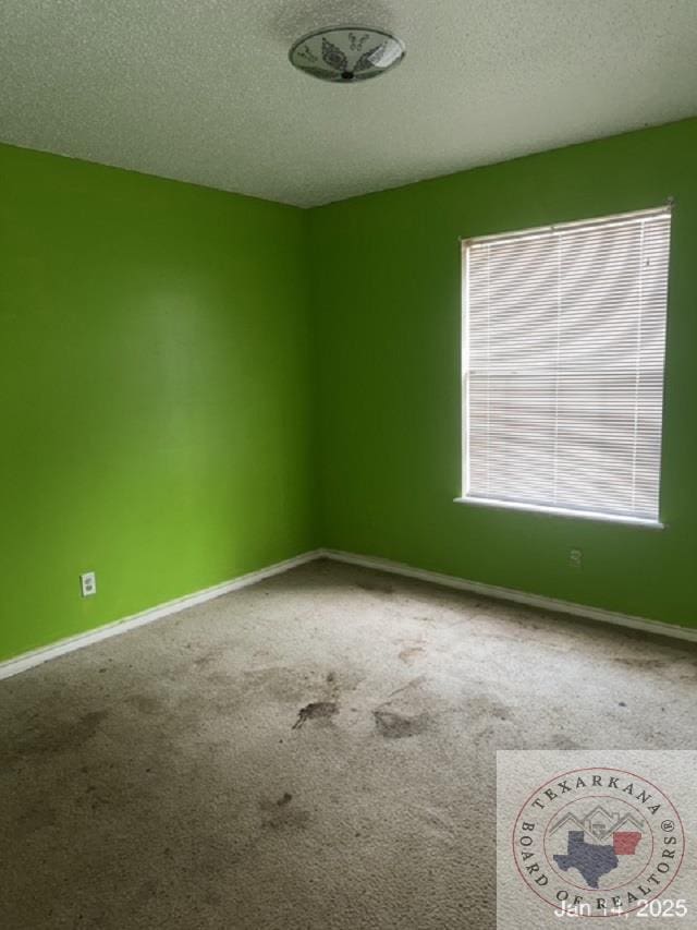 spare room with a textured ceiling, a wealth of natural light, and carpet floors