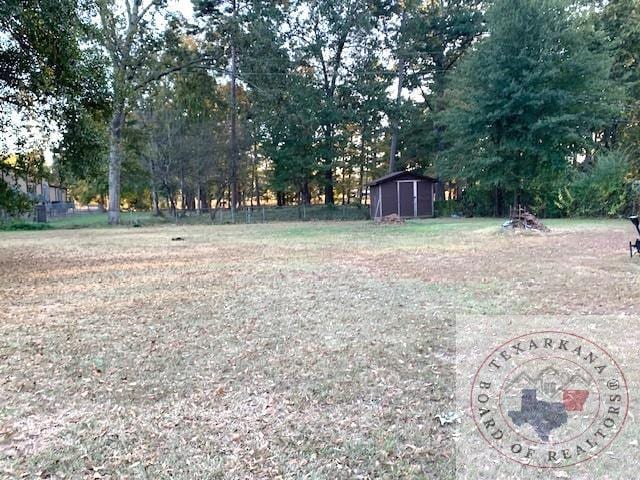 view of yard featuring a storage shed