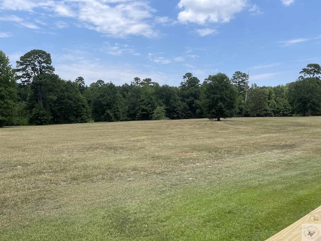 501 Park St, Atlanta, TX 75551 - view of nature featuring a view of trees