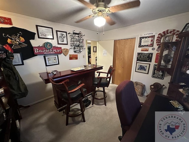 carpeted office with ceiling fan and ornamental molding