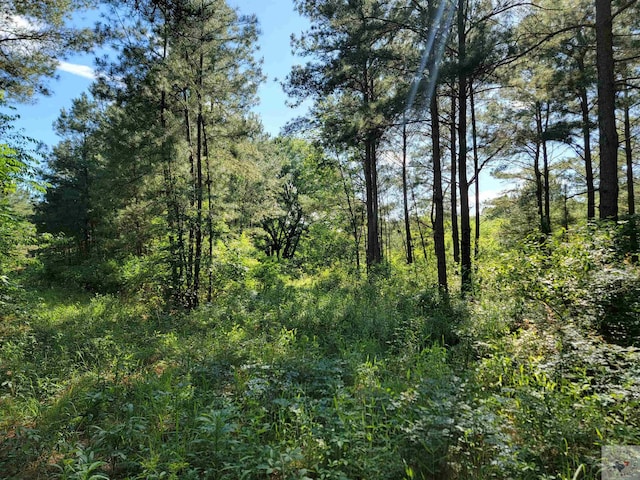 6545 Farm Rd Unit 1159, Clarksville, TX 75426