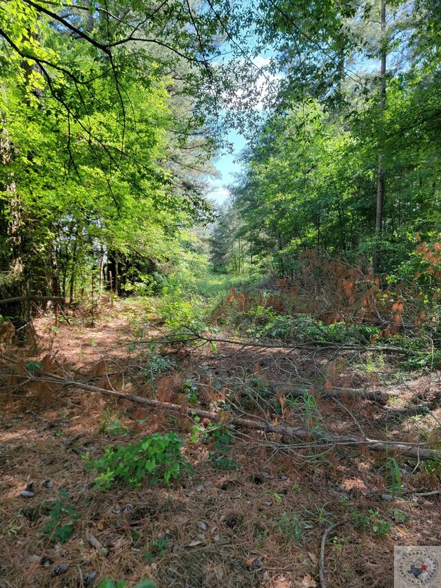 6545 Farm Rd Unit 1159, Clarksville, TX 75426