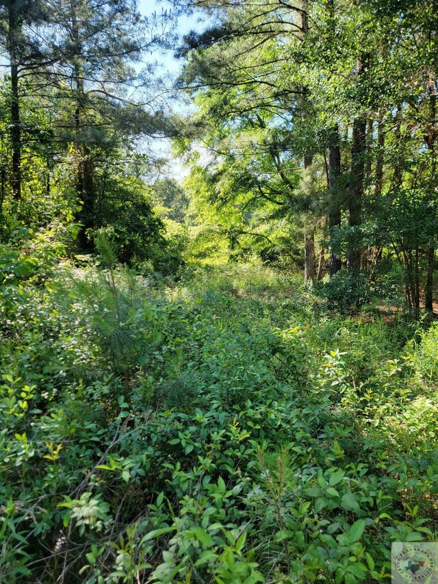 6545 Farm Rd Unit 1159, Clarksville, TX 75426
