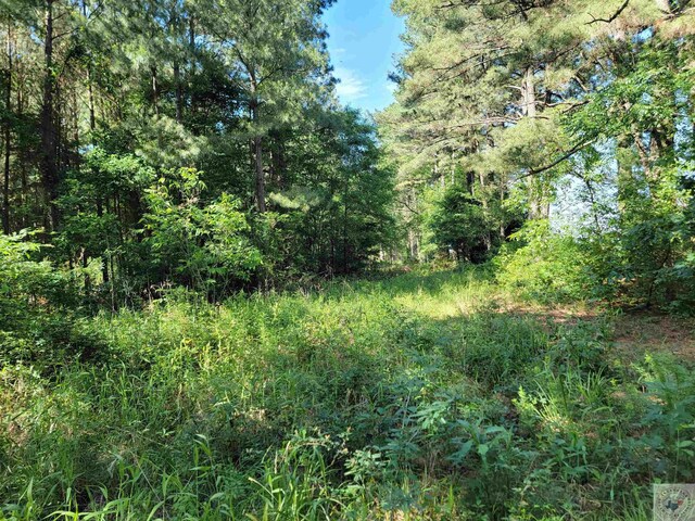 6545 Farm Rd Unit 1159, Clarksville, TX 75426