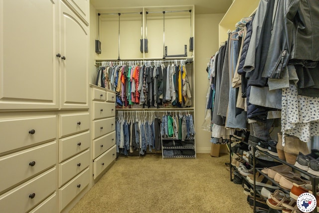 spacious closet featuring light carpet
