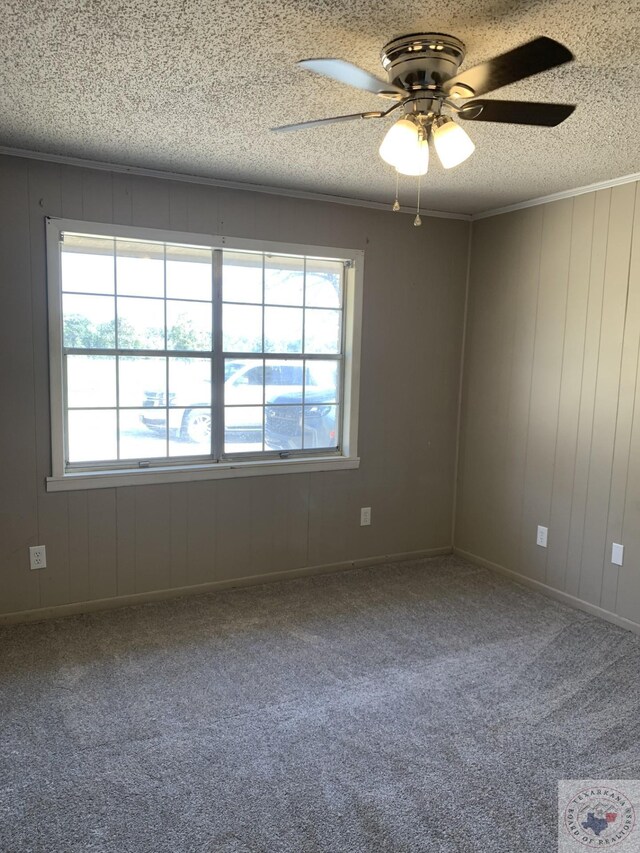 spare room with ceiling fan, plenty of natural light, a textured ceiling, and carpet