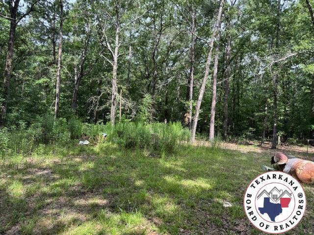 2731 Mc 157, Doddridge, AR 71834
