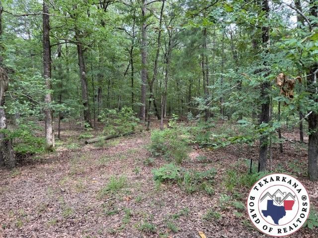 2731 Mc 157, Doddridge, AR 71834