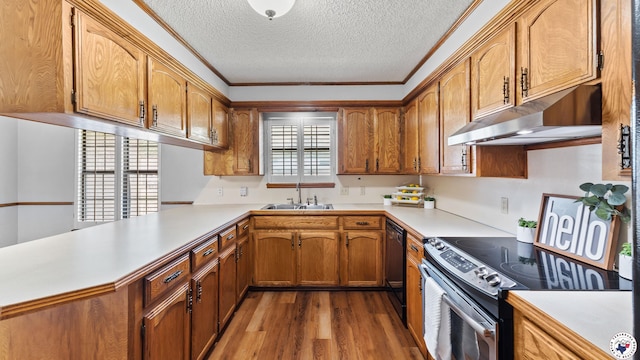 4707 Charleston St, Texarkana, AR 71854 - kitchen with electric range, under cabinet range hood, a sink, black dishwasher, and dark wood-style floors